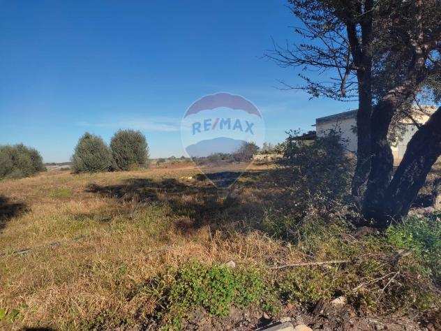 Rif30721437-34 - Terreno Agricolo in Vendita a Caltagirone - Granieri di 80000 mq