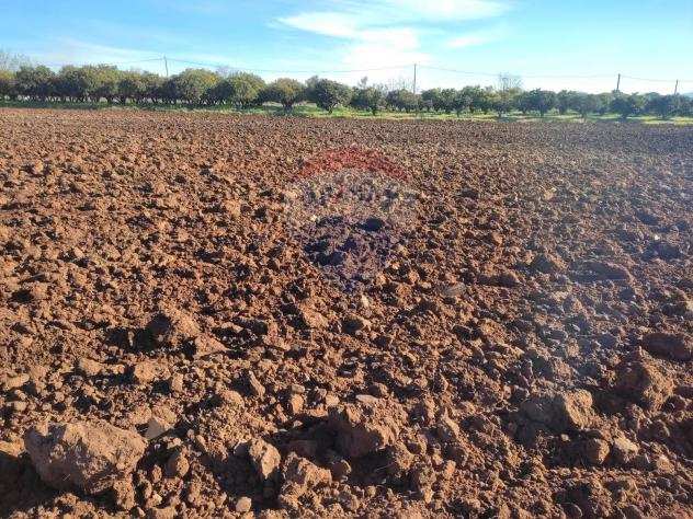 Rif30721437-34 - Terreno Agricolo in Vendita a Caltagirone - Granieri di 80000 mq