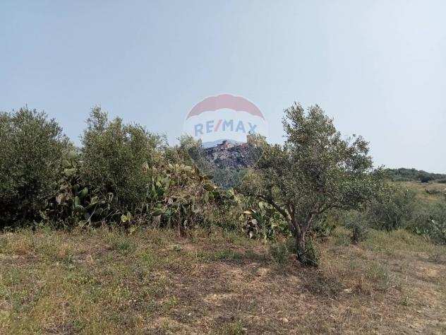 Rif30721551-25 - Terreno Residenziale in Vendita a Motta SantAnastasia di 11000 mq