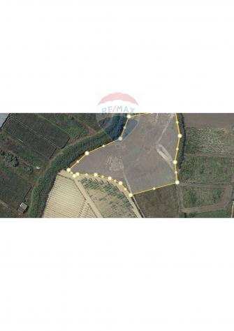 Rif30721615-7 - Terreno Agricolo in Vendita a Gela di 10800 mq