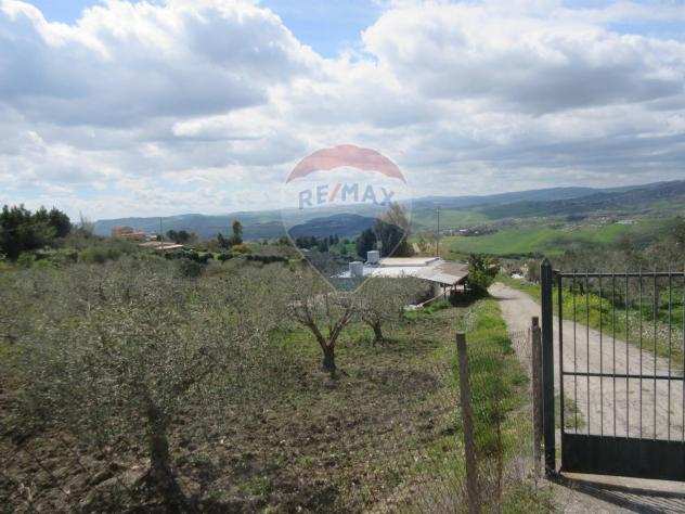 Rif33661015-227 - Terreno Agricolo in Vendita a Caltanissetta - Periferia di 9000 mq
