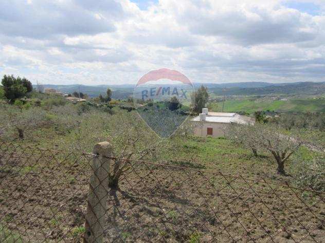 Rif33661015-227 - Terreno Agricolo in Vendita a Caltanissetta - Periferia di 9000 mq