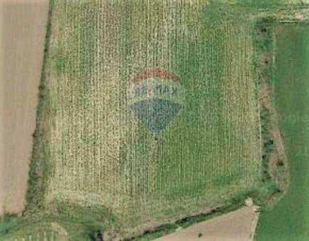 Rif39481008-12 - Terreno Agricolo in Vendita a Spresiano di 10000 mq