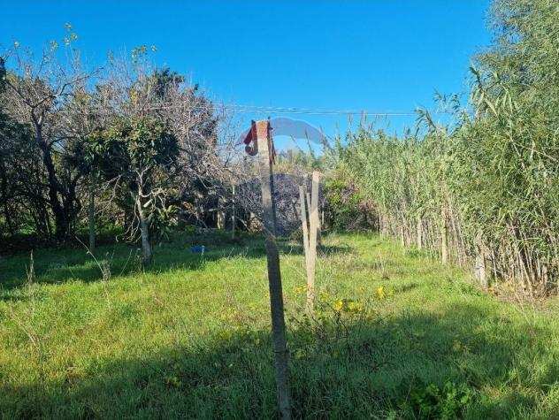 Rif40001039-12 - Terreno Agricolo in Vendita a Ragusa - Punta Braccetto di 13440 mq