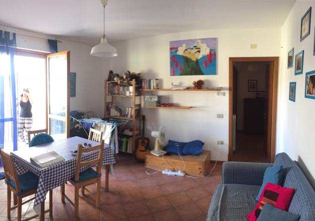 Rifa9991 - Appartamento in Affitto a Pisa - Santa Marta di 50 mq