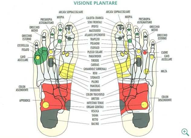 Riflessologia plantare