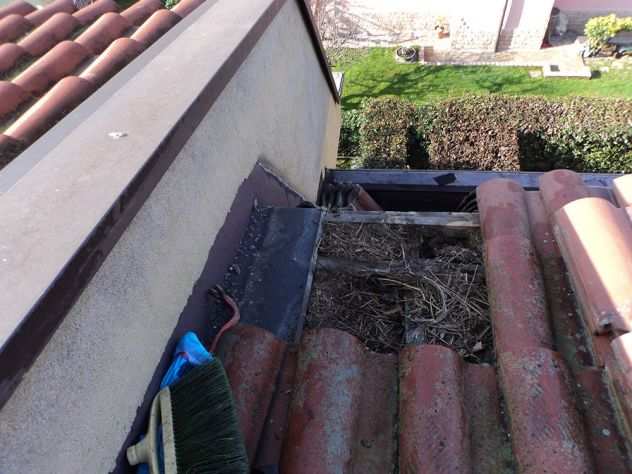 riparazioni tetti