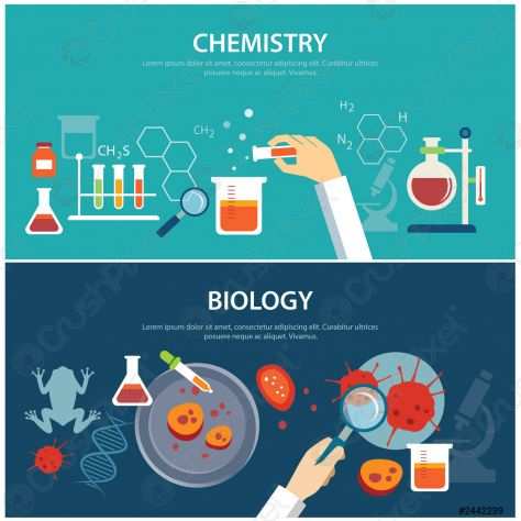 Ripetizioni chimica e biologia