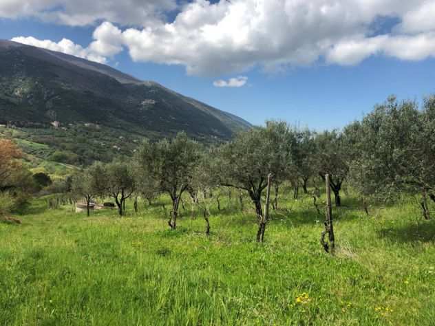 Roccadaspide loc. Fonte terreno agricolo