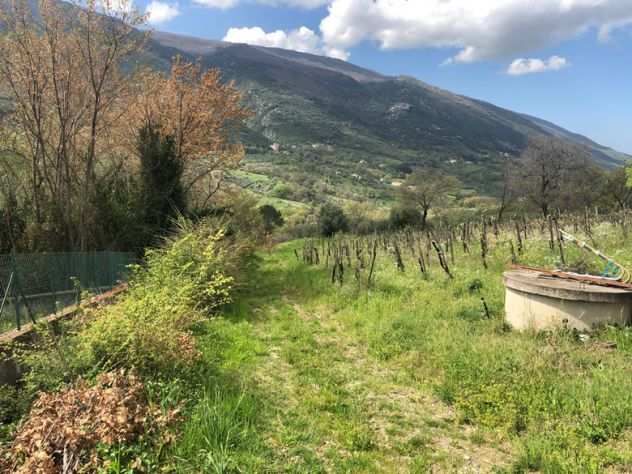 Roccadaspide loc. Fonte terreno agricolo