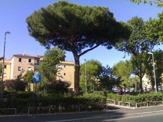 ROMA SUD - BILOCALE con GIARDINO PRIVATI