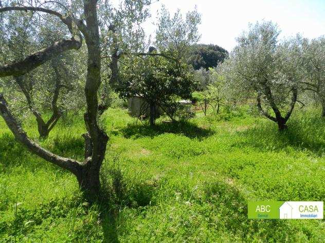 Rosignano Marittimo - Rif. R1018. Terreno agricolo con annesso di c.ca 30 mq al piano, composto da un piano terra di due stanze con cucina, e bagno. S