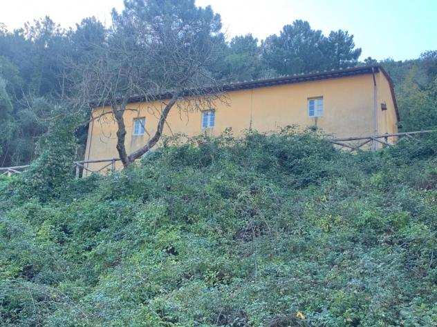 Rustico in vendita a ASCIANO - San Giuliano Terme 168 mq Rif 1078173
