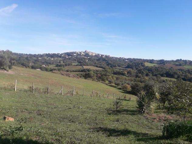 Rustico in vendita a Manciano 350 mq Rif 1074837