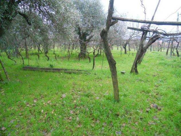 Rustico in vendita a PALVOTRISIA - Castelnuovo Magra 220 mq Rif 1139504