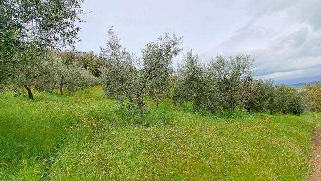 Rustico in vendita a Rosignano Marittimo 95 mq Rif 1121306