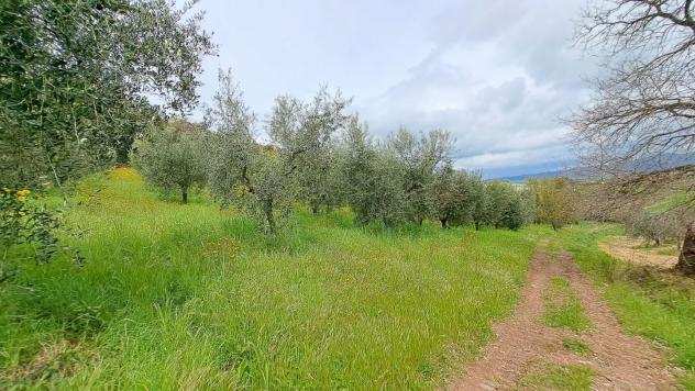 Rustico in vendita a Rosignano Marittimo 95 mq Rif 1121306