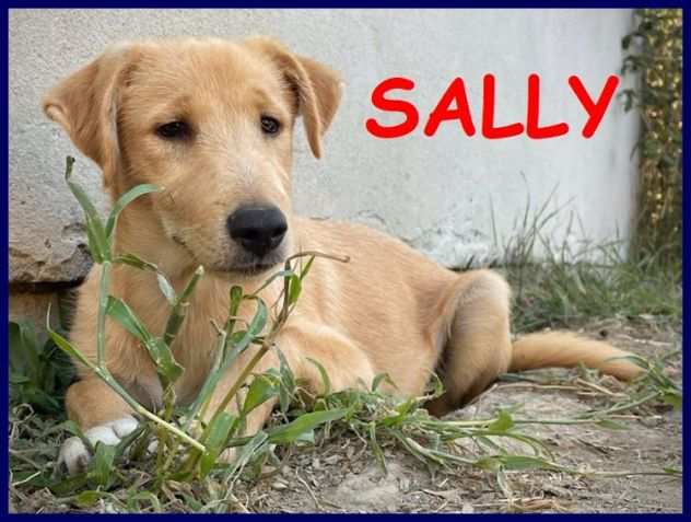 SALLY 7-8mesi dolcissima con problemi di vista