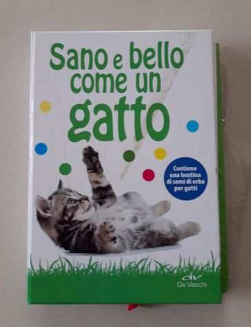 Sano e bello come un gatto