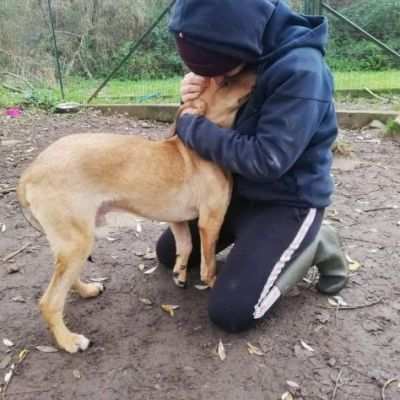 SBUFFO CAGNOLINO IN ADOZIONE