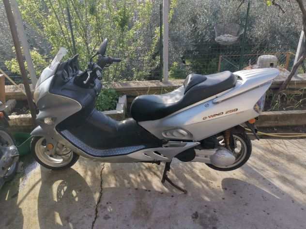 Scooter scooterone Steed Q - Wind 250 cc MARCIANTE