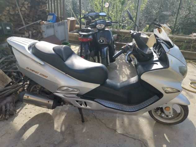 Scooter scooterone Steed Q - Wind 250 cc MARCIANTE