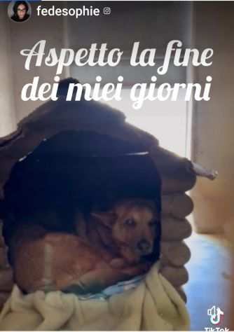 SEBASTIANO, 14 ANNI, E CIECO E SORDO.