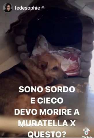 SEBASTIANO, 14 ANNI, E CIECO E SORDO.