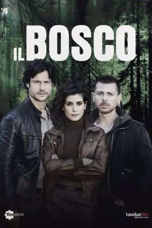Serie TV Il Bosco - Completa