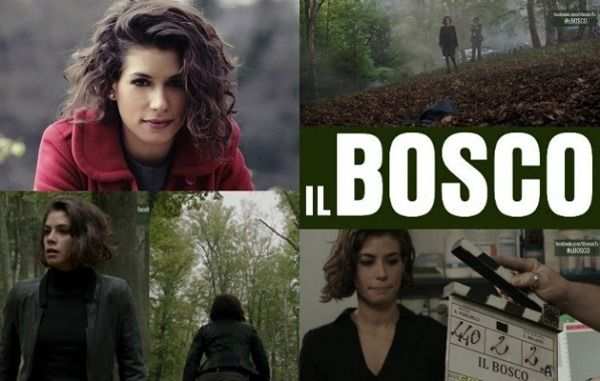 Serie TV Il Bosco - Completa