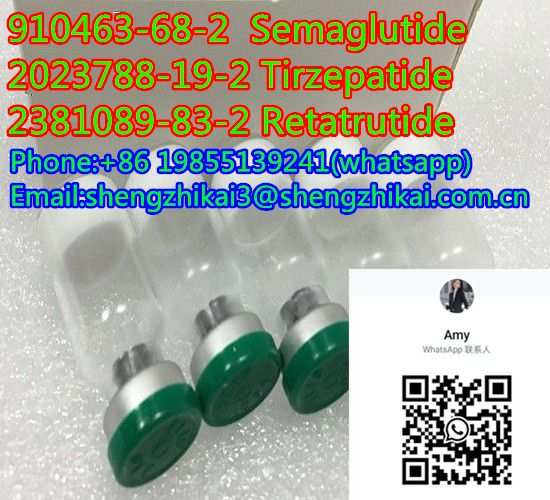 Sermaglutide Fandachem Peptidi CAS 910463-68-2