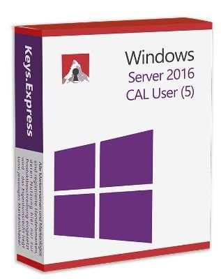 Server 2016 CAL User (5)