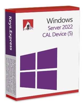 Server 2022 CAL Device (5)