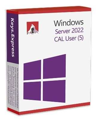 Server 2022 CAL User (5)