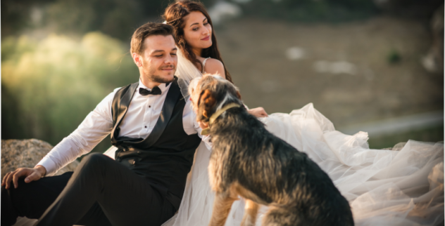 Servizio di Wedding Dog Sitter per Matrimoni a Milano