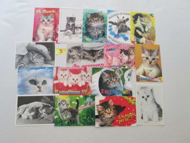 set 16 cartoline da collezione di gattini