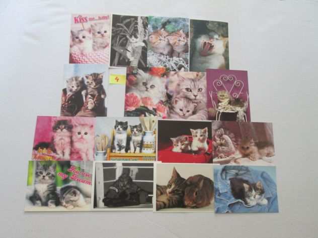 set 16 cartoline da collezione di gattini