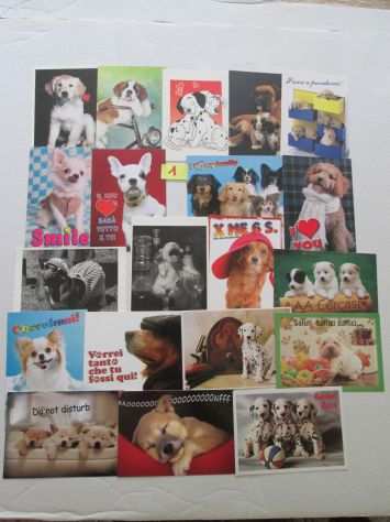 set 20 cartoline da collezione di cagnolini