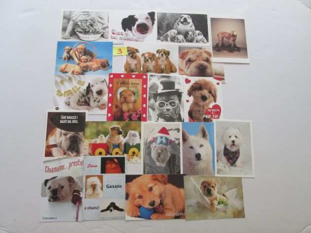 set 20 cartoline da collezione di cagnolini