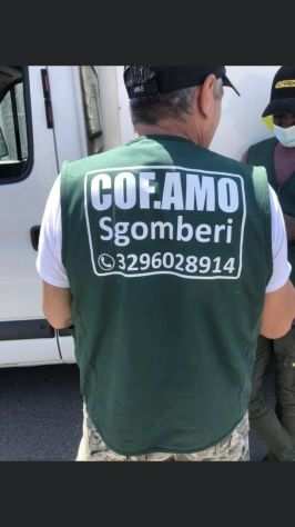 Sgombero appartamenti gratis bologna