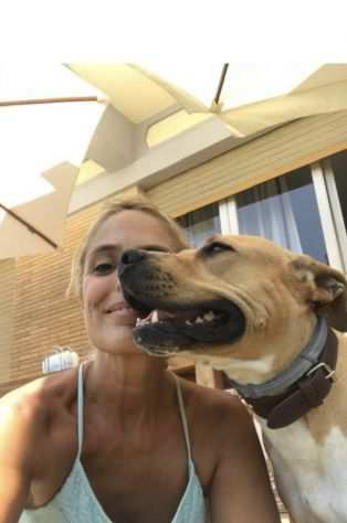 SIMBA AMSTAFF CERCA FAMIGLIA