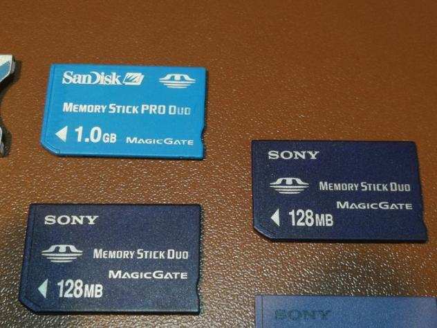 Sony Memory Stick Scheda di memoria