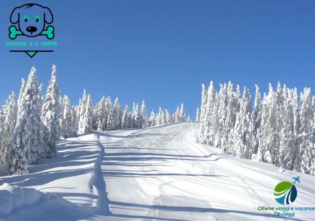 Speciale Natale sulla neve ad Asiago in Veneto con codice amico DLTViaggi