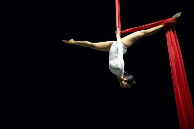 SPETTACOLI DI DANZA AEREA CERCHIO AEREO E POLE DANCE 3478497587