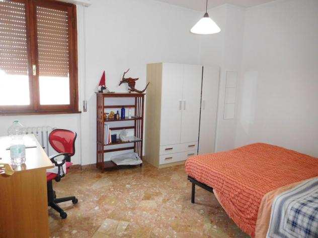 StanzaPosto Letto in affitto a Pisa 18 mq Rif 908722