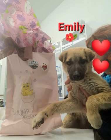 STUPENDA EMILY