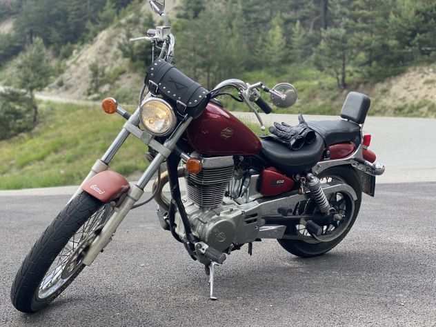 SUZUKY LS650 castom