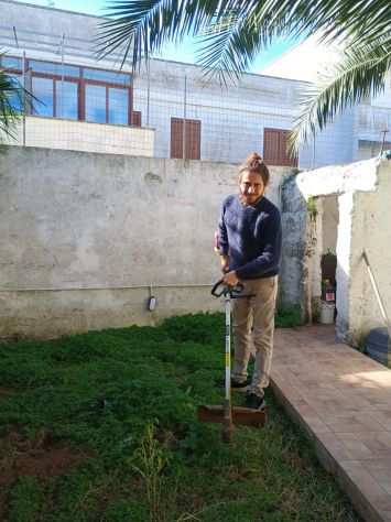 taglio lerba del tuo giardino con tagliaerba