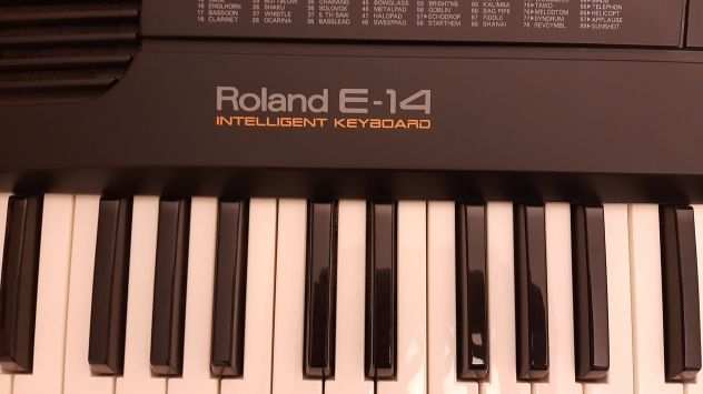 Tastiera Musicale Roland E 14