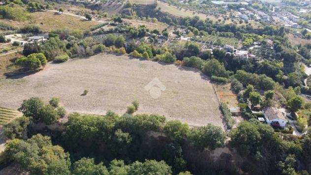 ter. agricolo Col di Tenda, SAN BENEDETTO DEL TRONTO